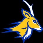 antelope.jpg